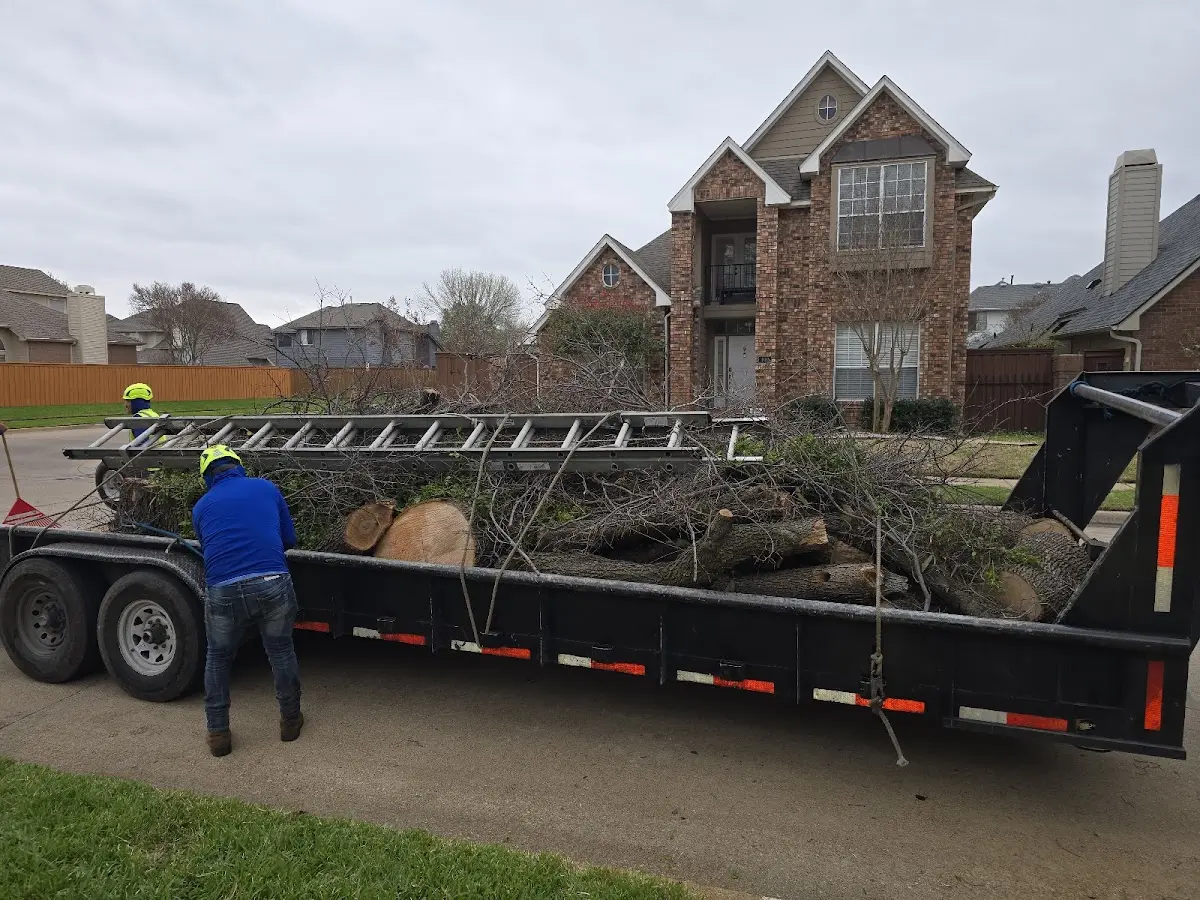 Expert Lot Clearing with proper safety equipment in Princeton